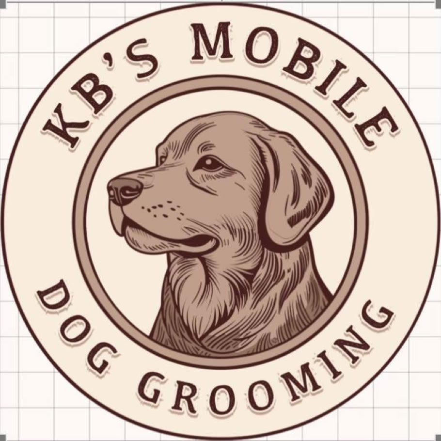 Free stock photo of dog, sleepy